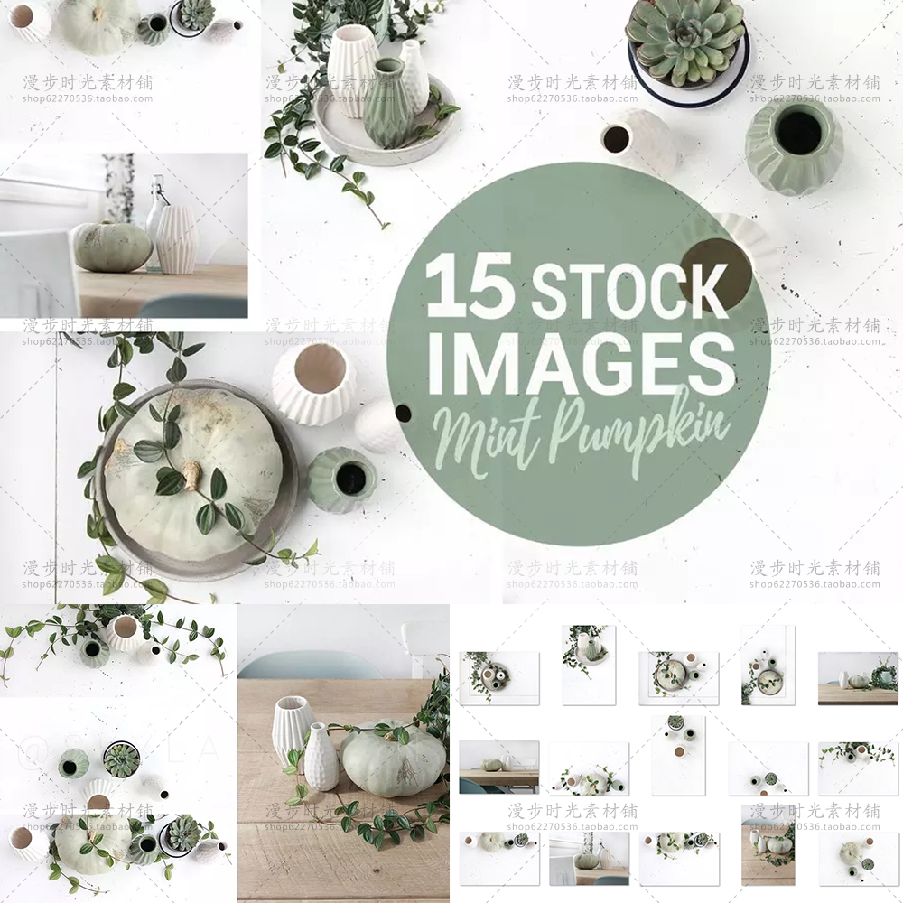 小清新ins风植物南瓜花瓶绿植办公场景样机卡片JPG设计素